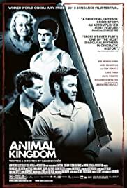 animal kingdom 123movies|More.